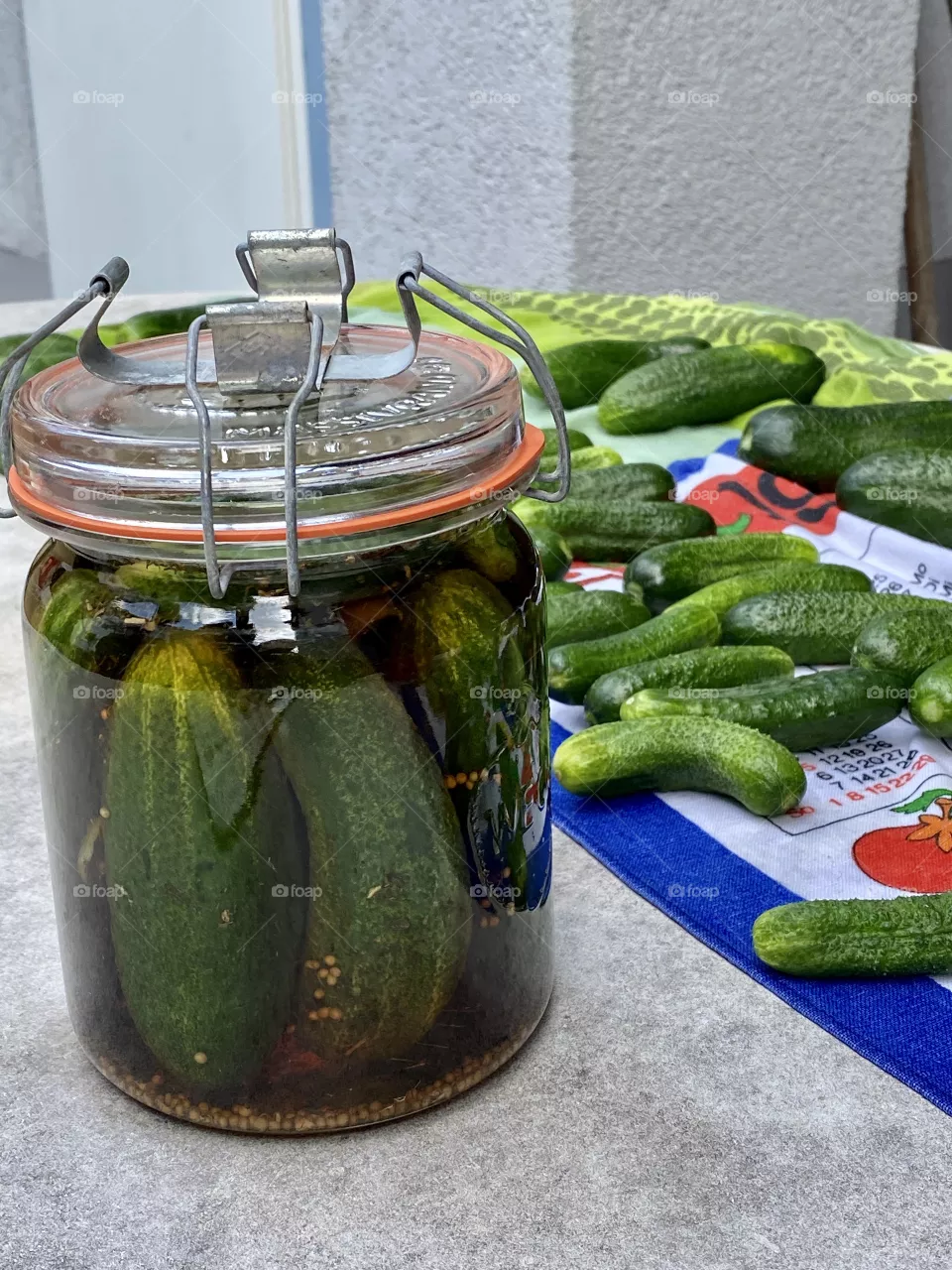 Pickle cucumbers with fresh harvested homegrown cucumbers.