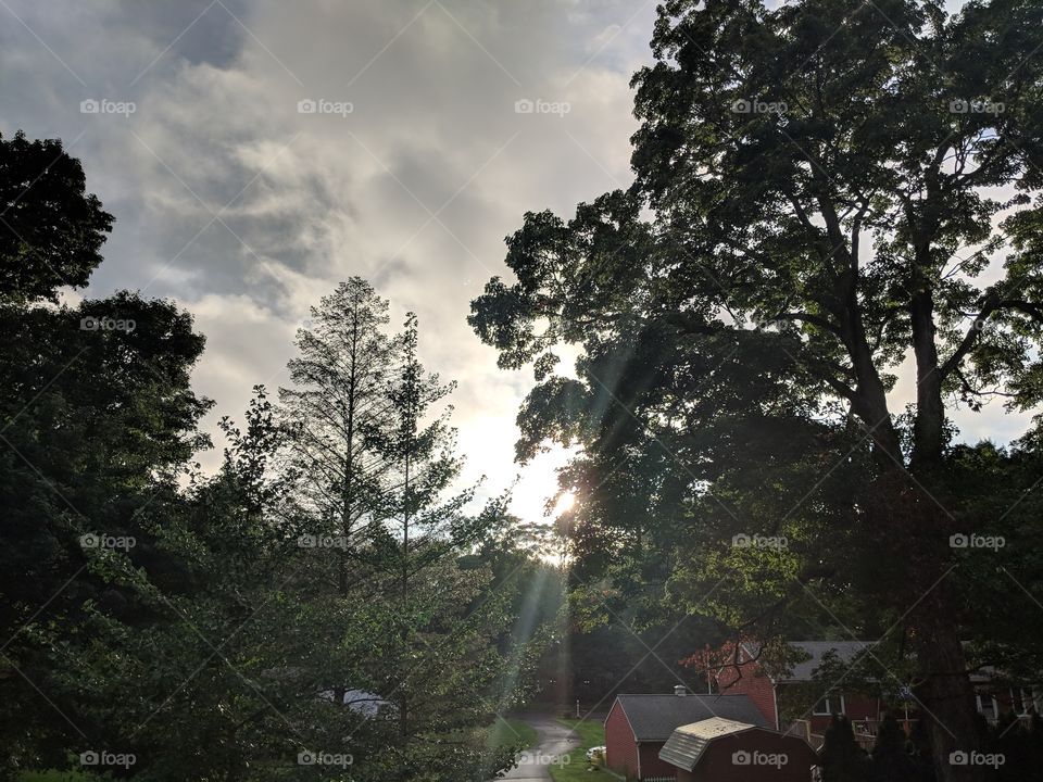 An evening after rain. Taken with a Pixel 2.