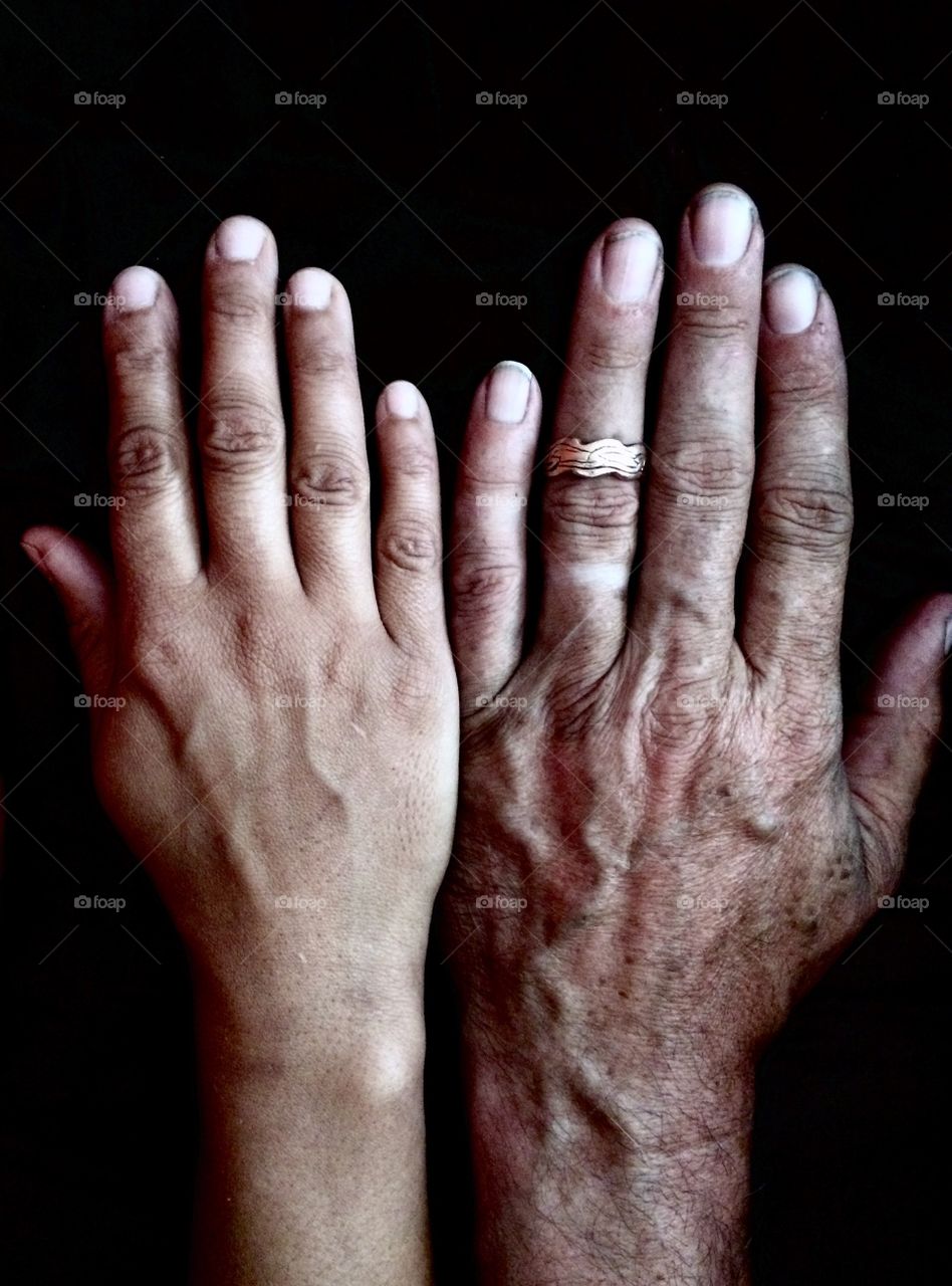 Hand companions 