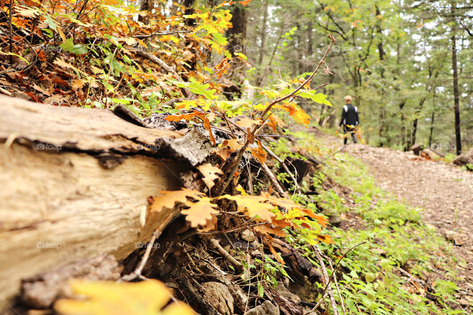 Fall Hike