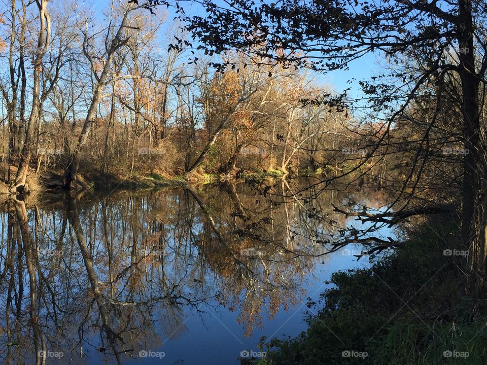 Fall Reflections 