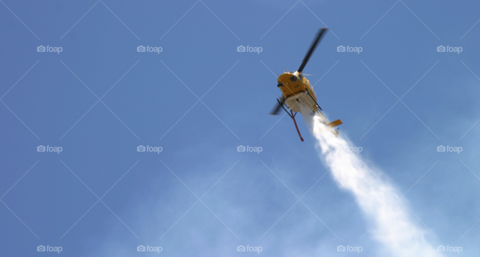 nature blue black grass by hlehnerer