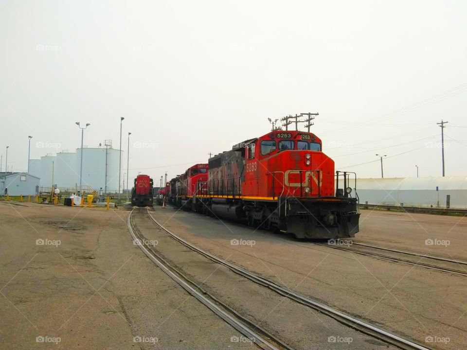 CN trains