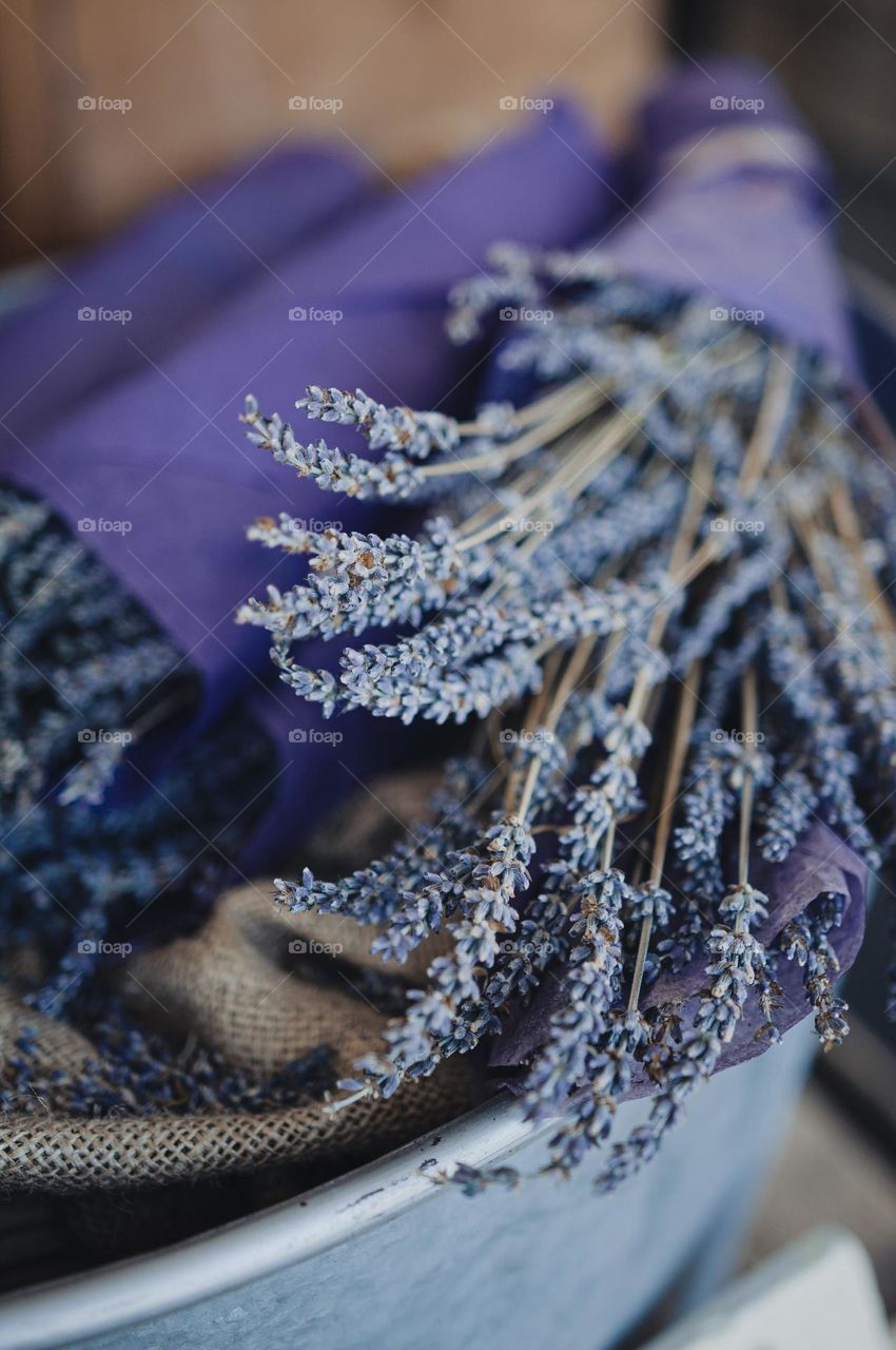 Lavender bouquets near Port Arthur, Tasmania