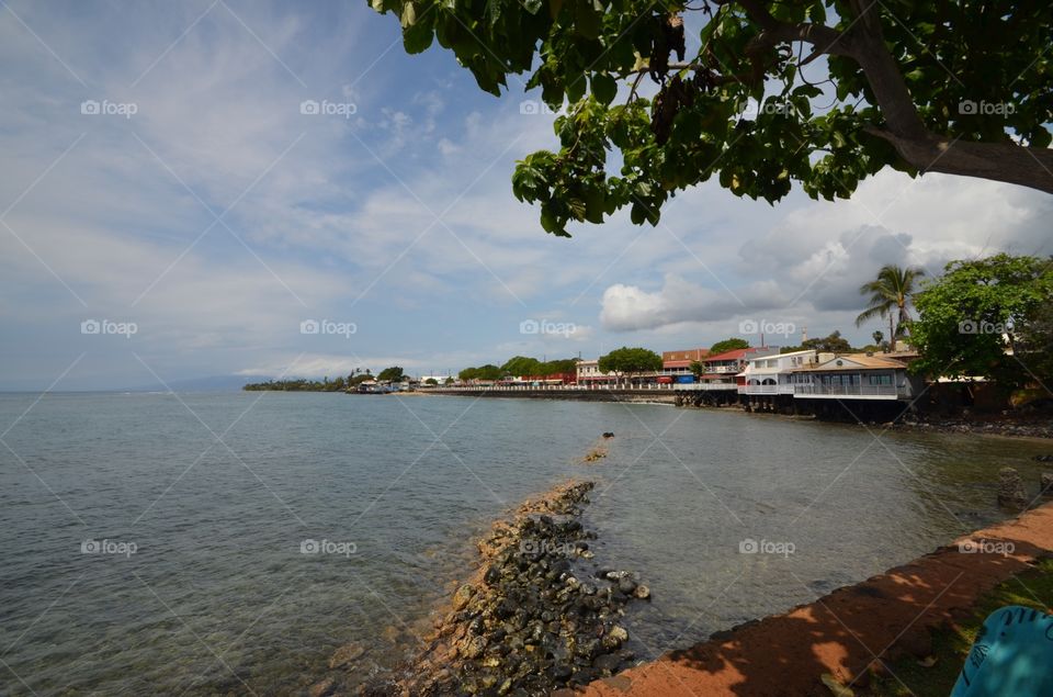 Seascape of Lahaina HI