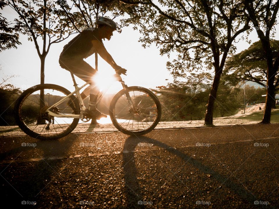 Silhouette of a man cycling in a public park against the evening sun