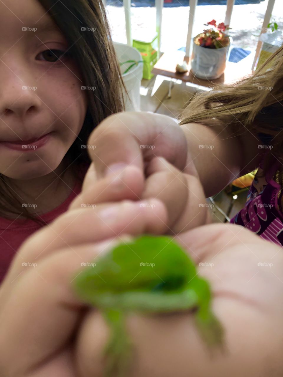 Exploring the garden / making friends with nature