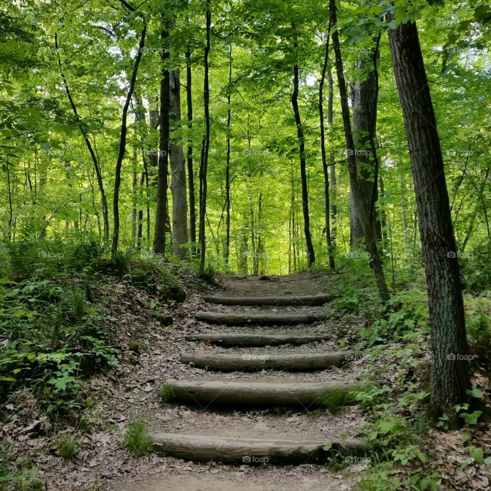 Paradise . Lost in paradise 