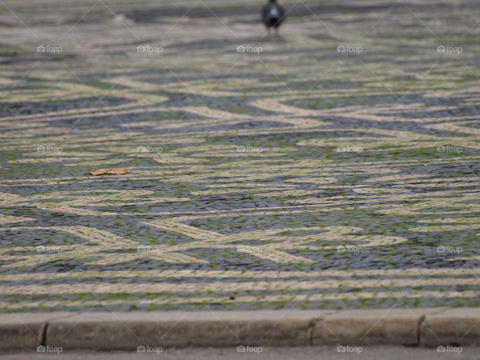 Lisbon pavement