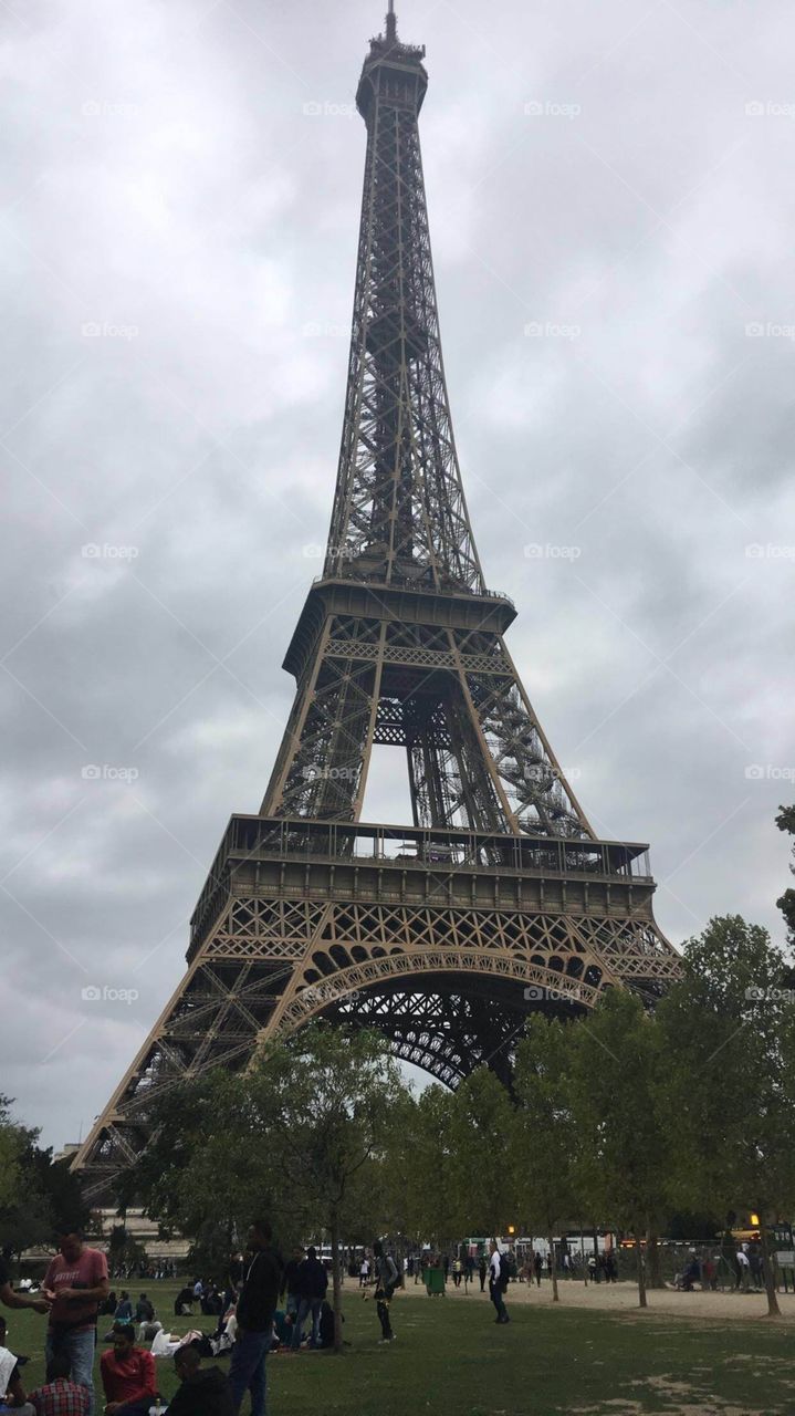 The  Eiffel Tower 