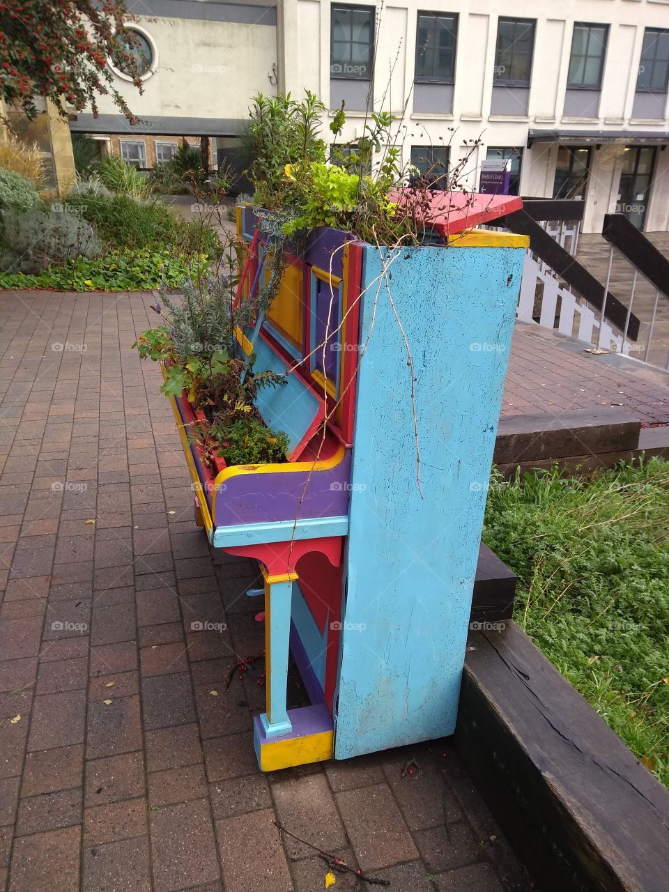 A blooming piano