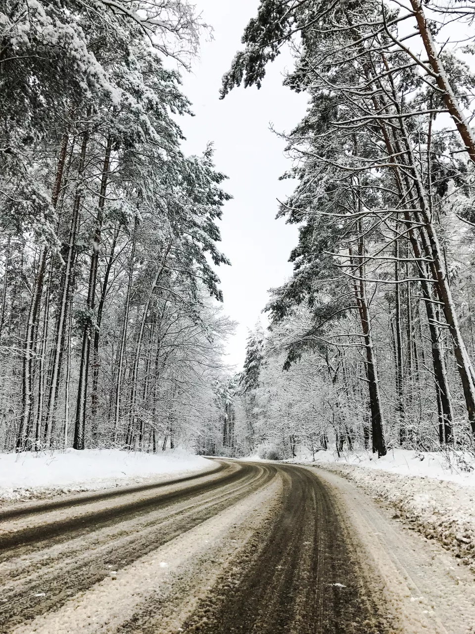Winter