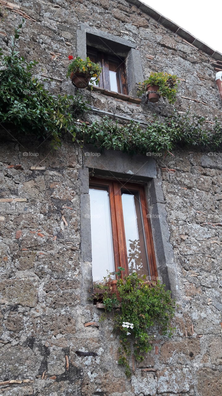 House, Window, Architecture, Family, Old