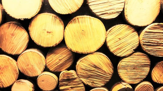 wood