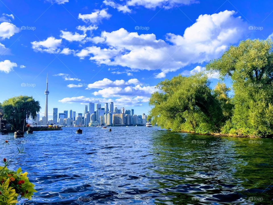 Toronto skyline view 