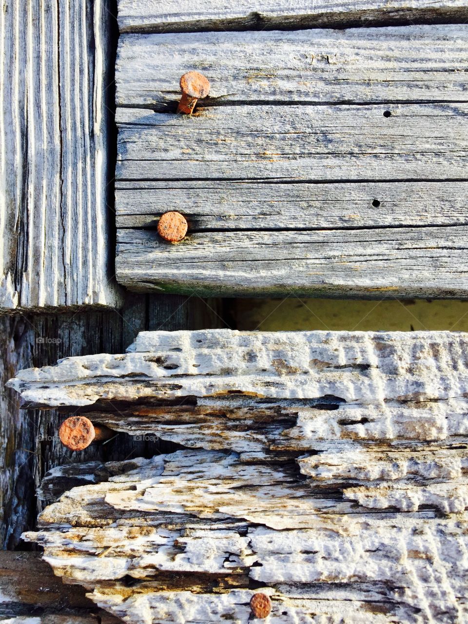 Creative Textures - rusty nails in weathered boards