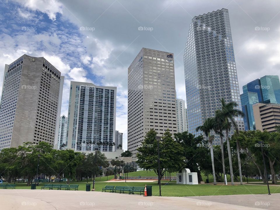 Miami Skyscrapers