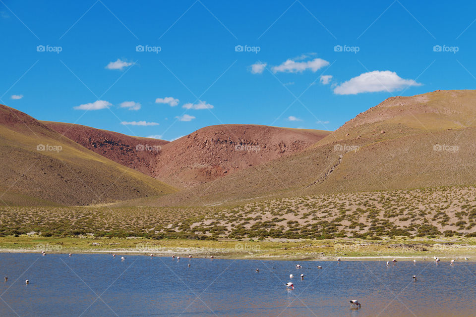 Atacama Desert in Chile.