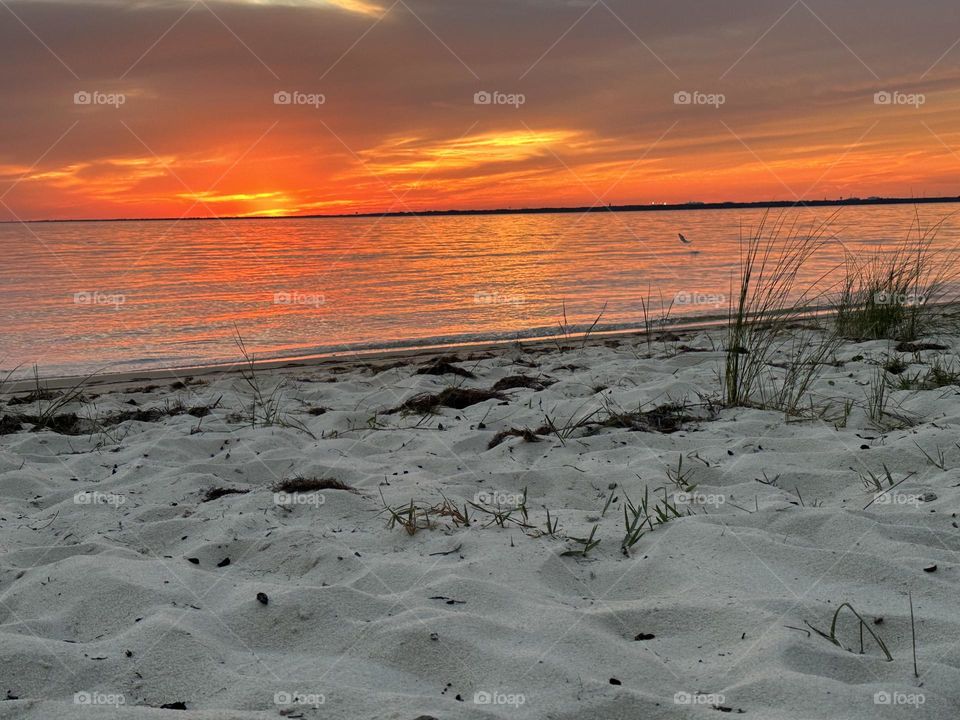 The beautiful sunset and the cool and soft to the touch white sand of the Gulf of Mexico in Florida is truly exquisite and one of the top attractions to the beach