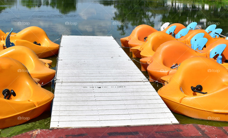 Paddle boats docked in a pond