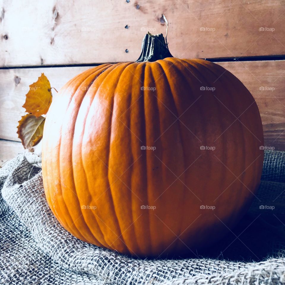 Sunlit barn shining on a pumpkin