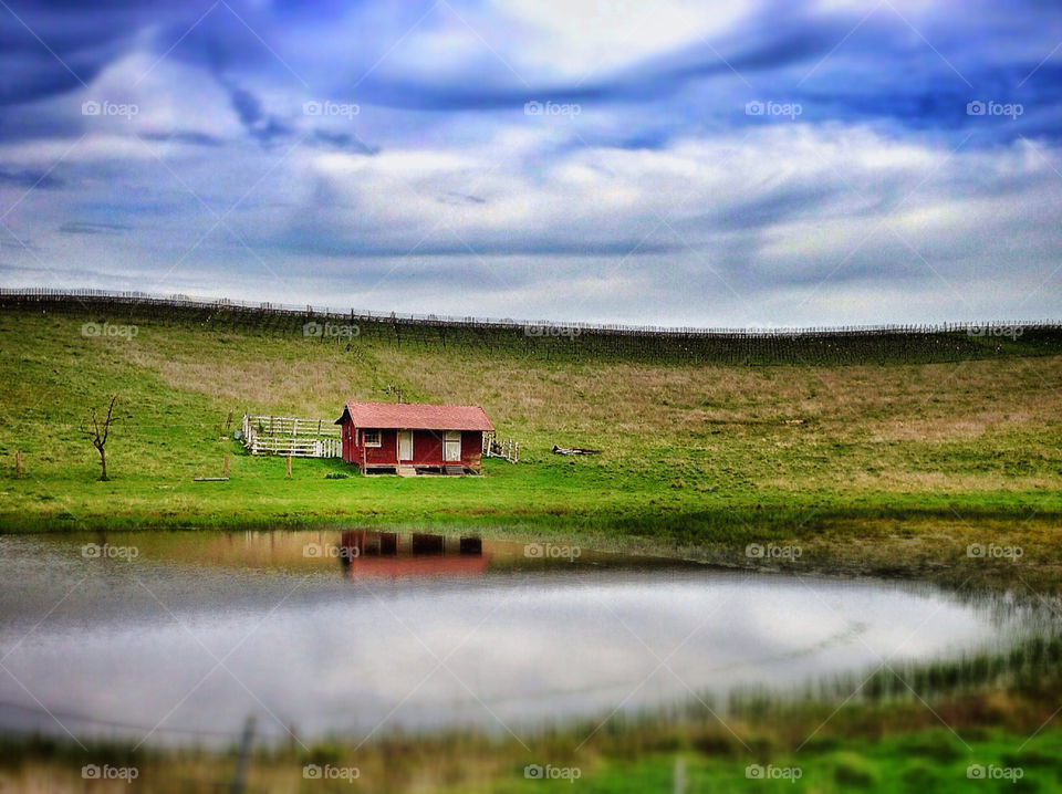 Little House by the Pond