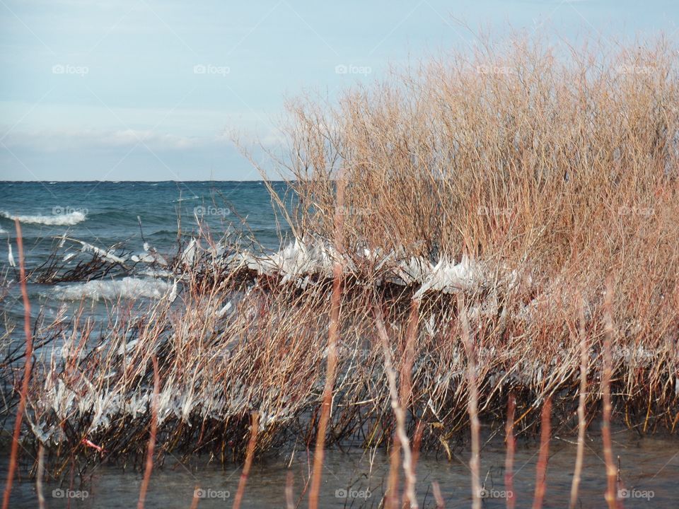 Northern Michigan 