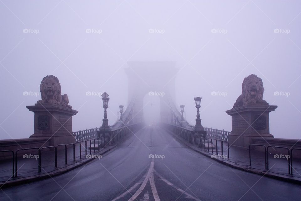 Széchenyi chain bridge in fog
