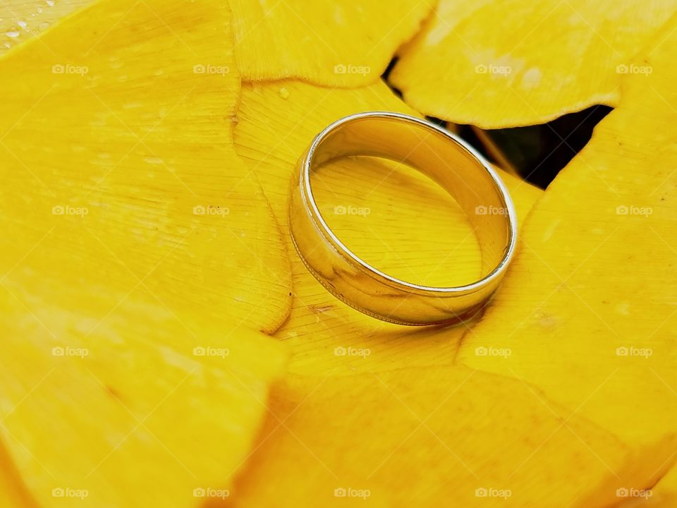 A wedding band rest in a bed of yellow leaves