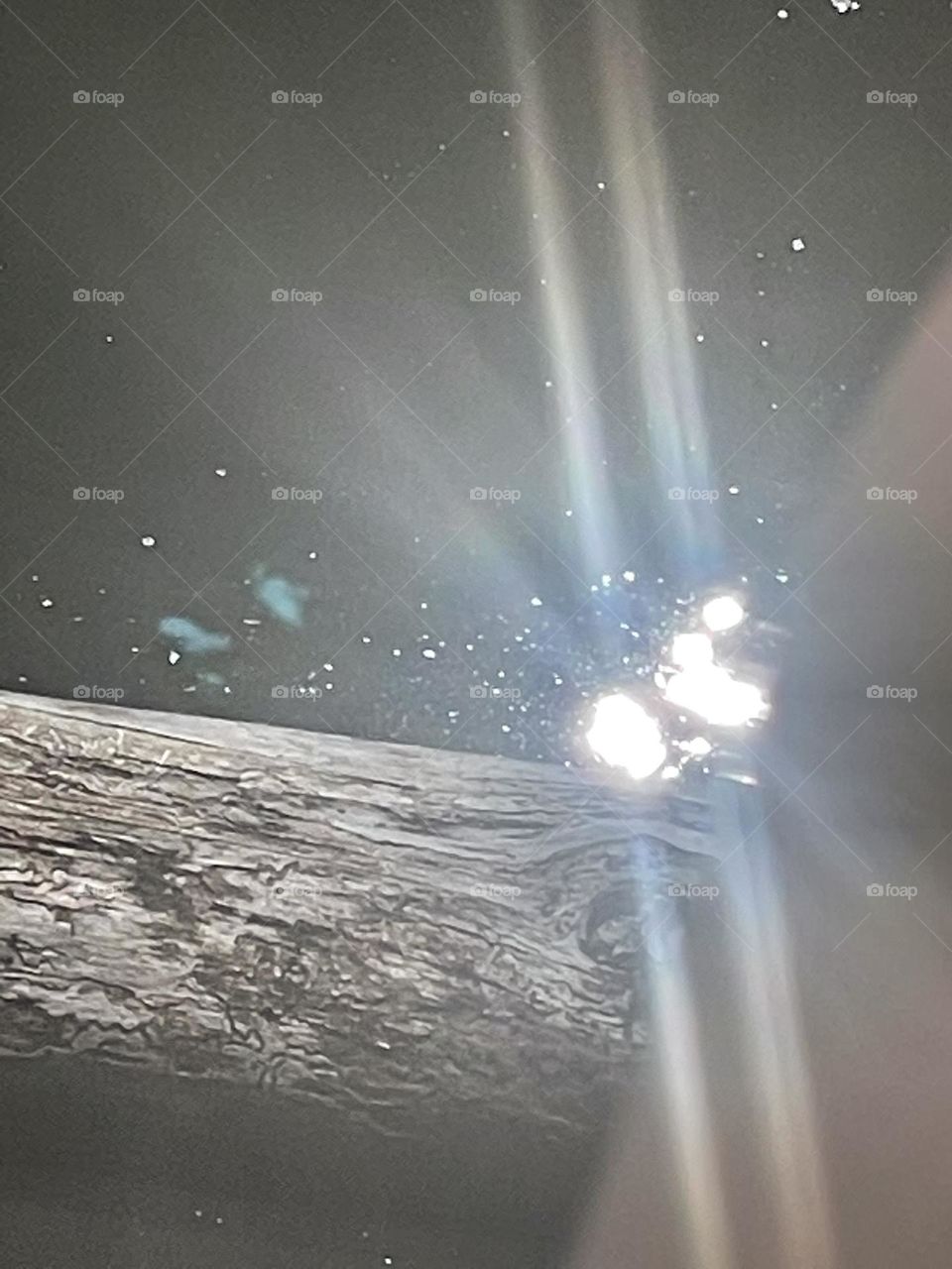 Lovely sun blessings 