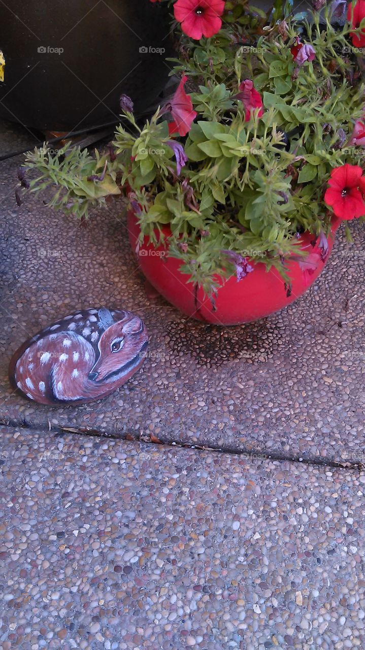Dandy and the red flower pot. Working on the front porch