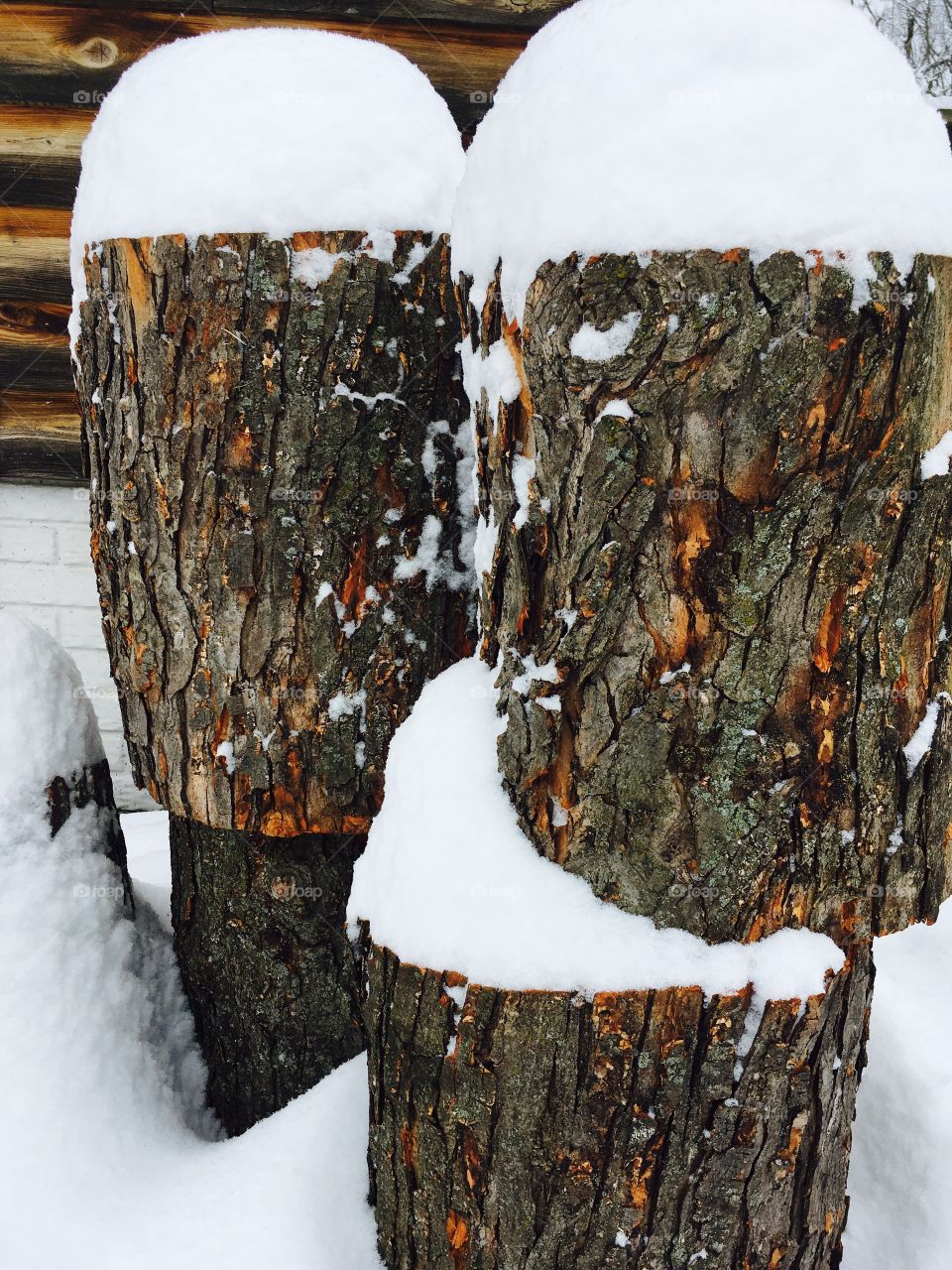 Log "sentinels" during a March snowstorm in Virginia 