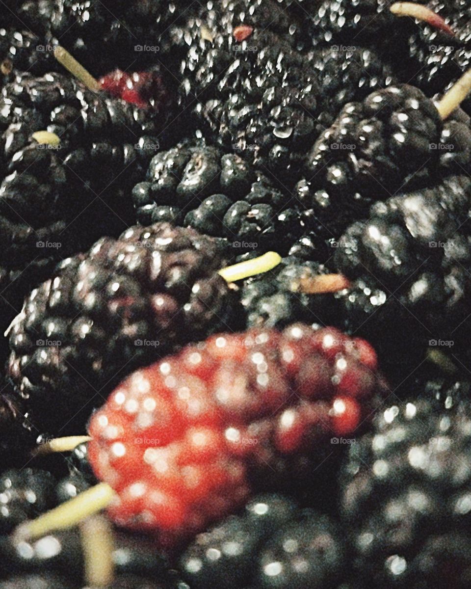 moras