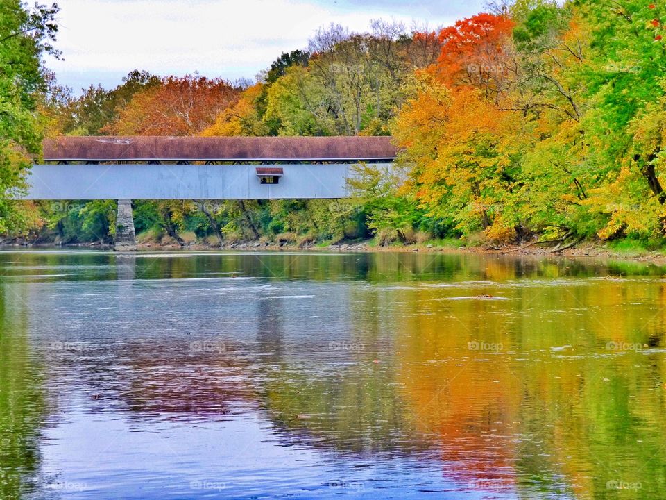 Reflection of autumn on the river