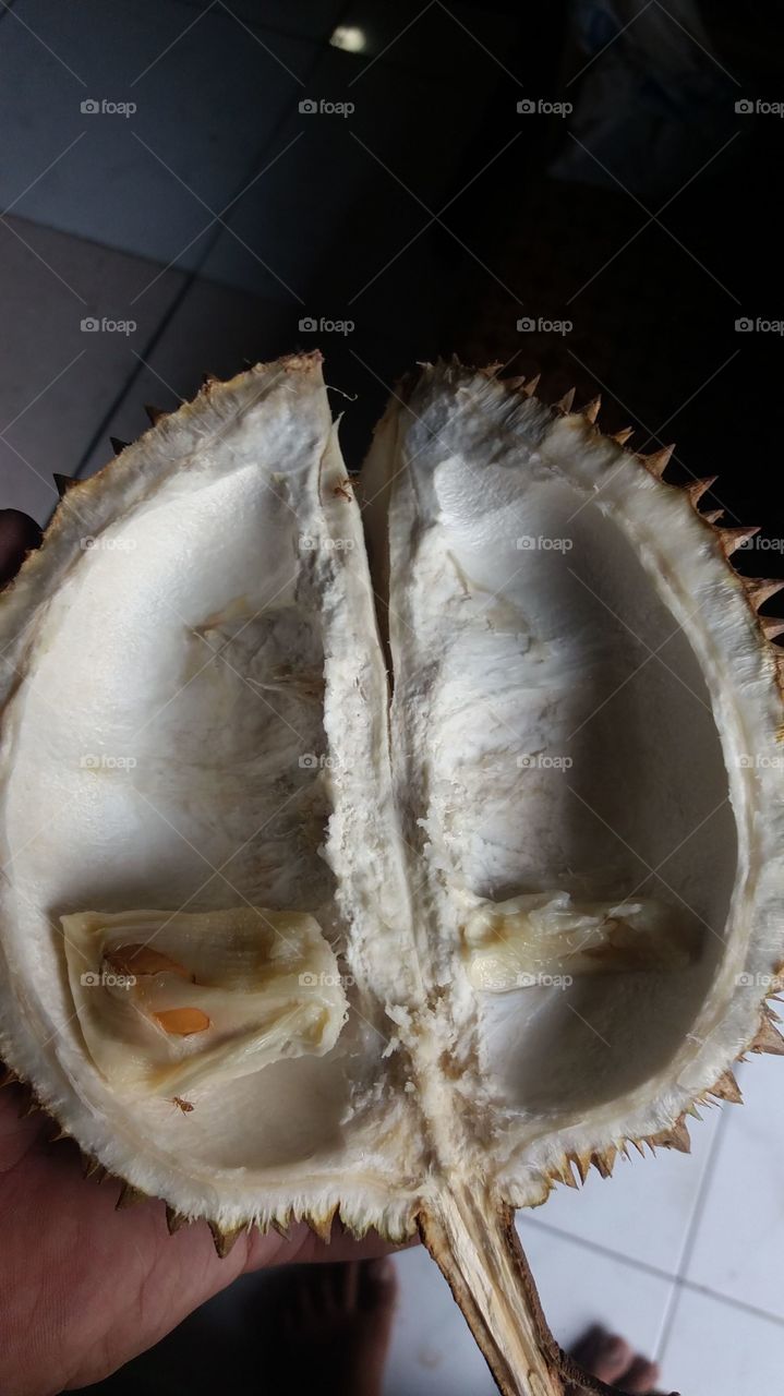 Durian