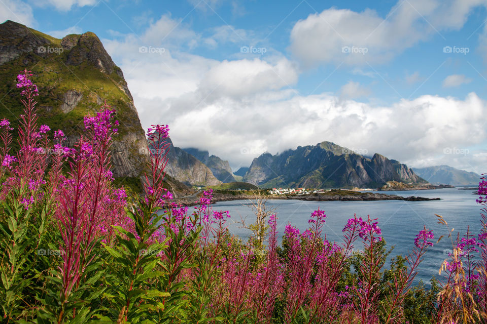 Lofoten islands 