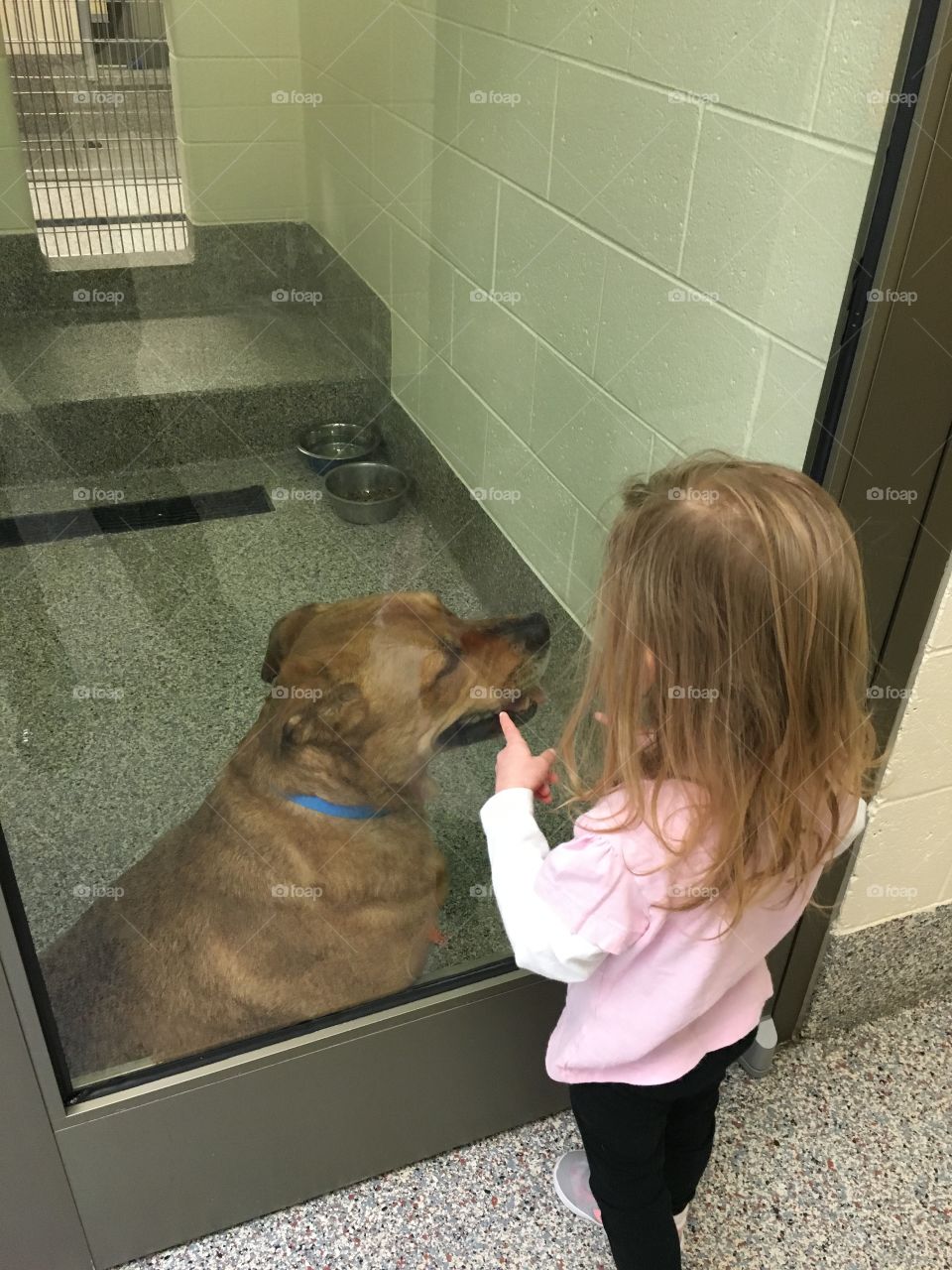 Little Mila wants a doggy friend!! 