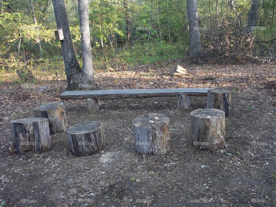 classroom. in the park