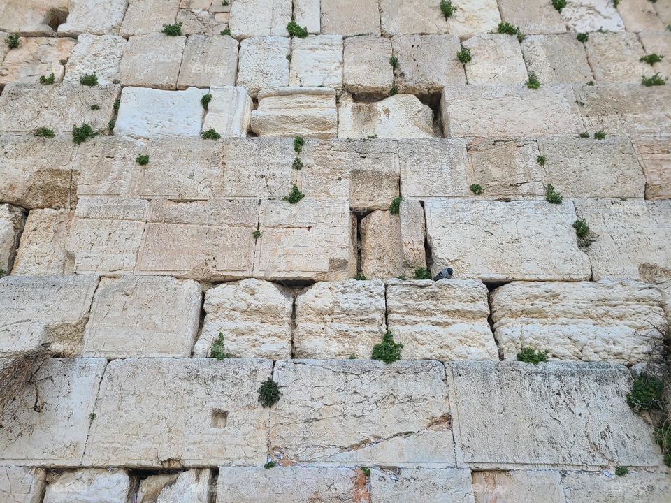 western wall, kotel, Jerusalem
