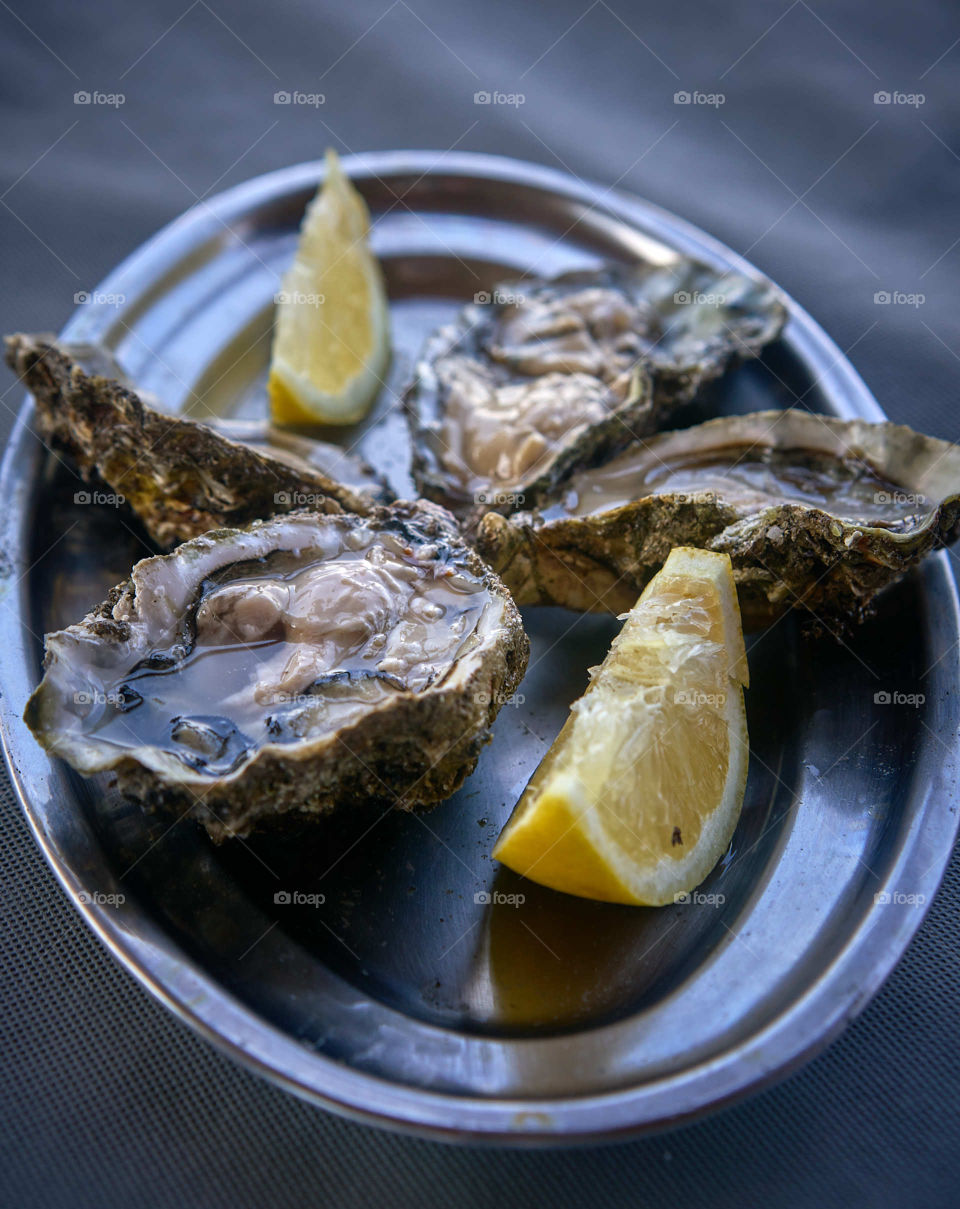 Oysters