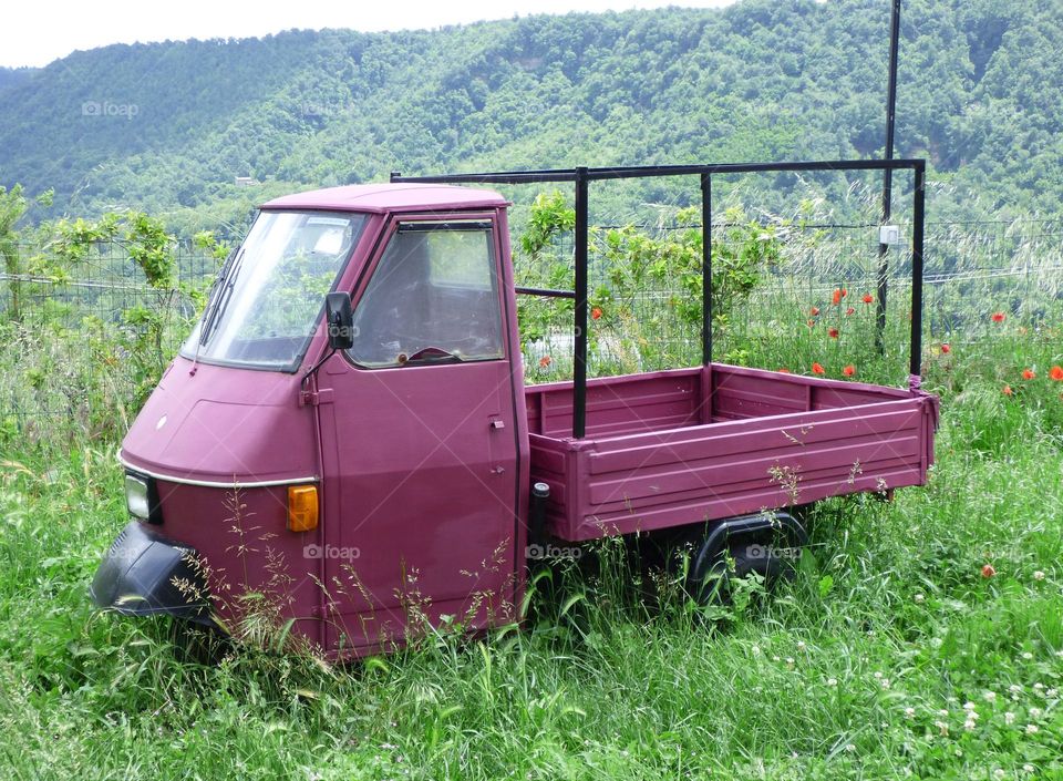 Purple Italian truck abandoned in a field of high grass near a hill town of Italy.