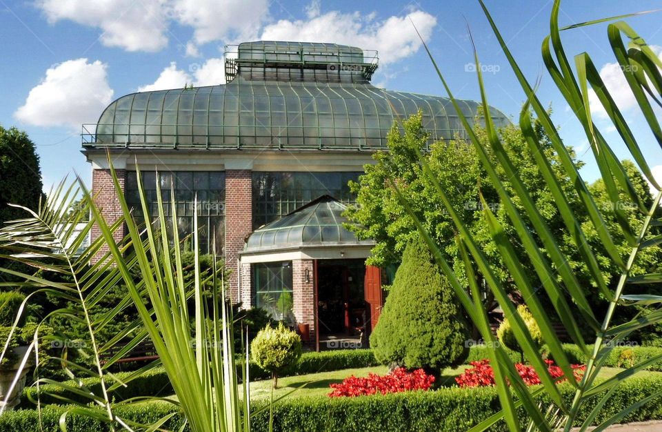 Palm house in the city of Walbrzych in Poland