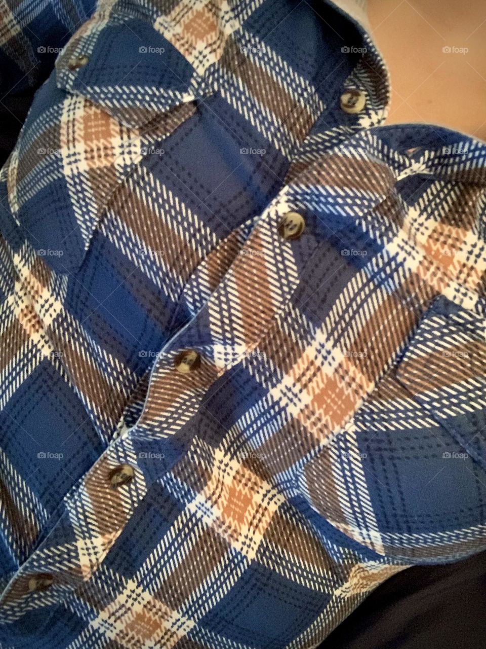 Blue/brown plaid button up shirt