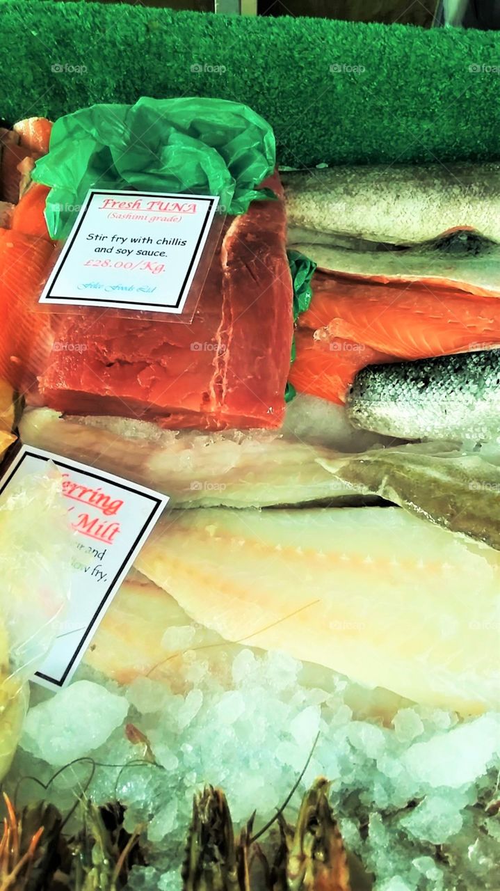 Fresh Fish