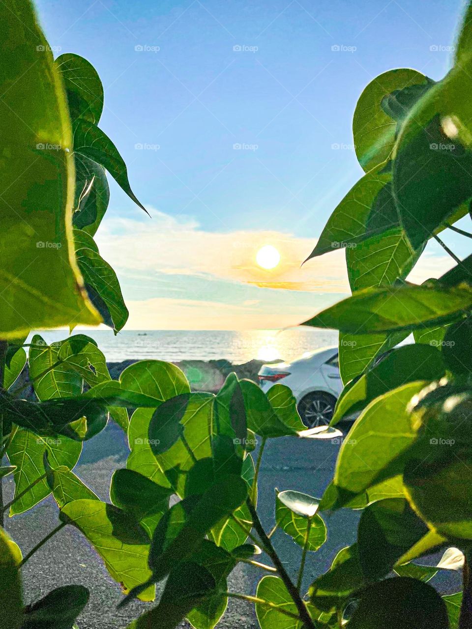 Green leaves frame of a beautiful beach view