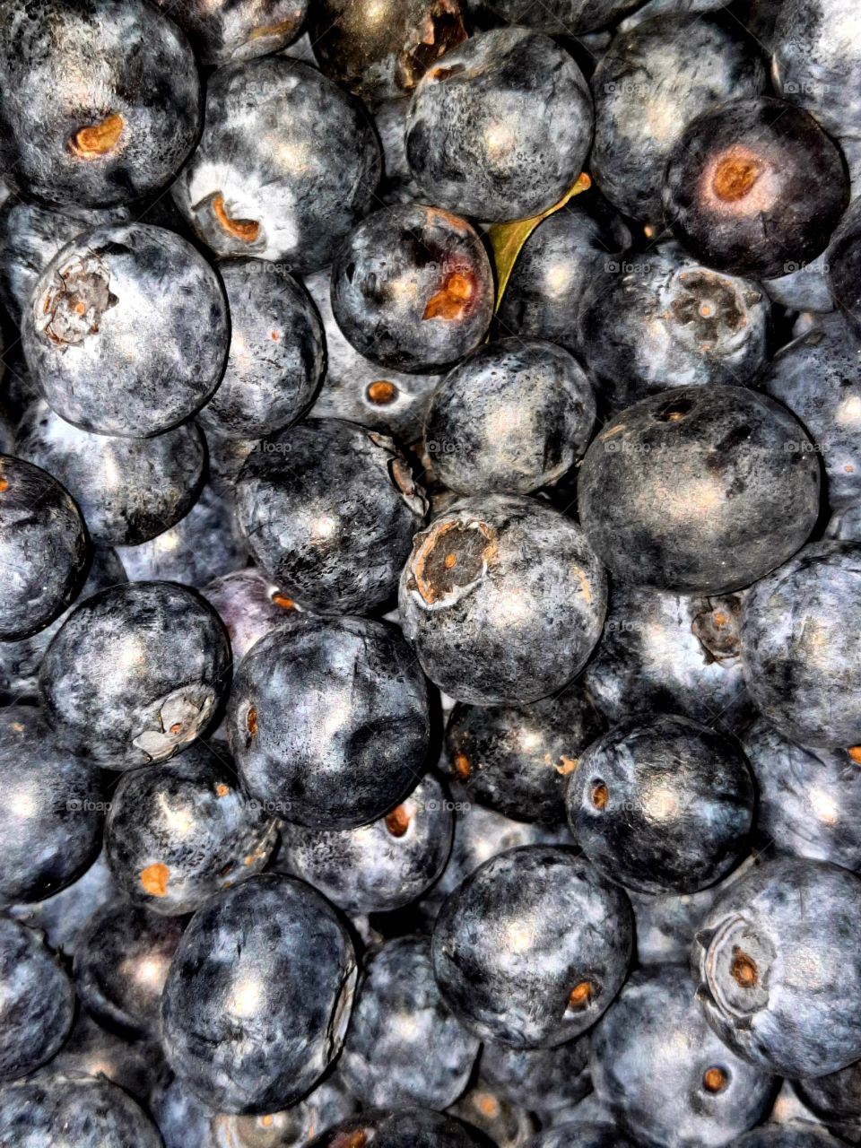 Blaubeeren vom Garten