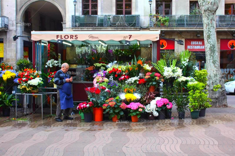 flowers barcelona spain vendor by arikins