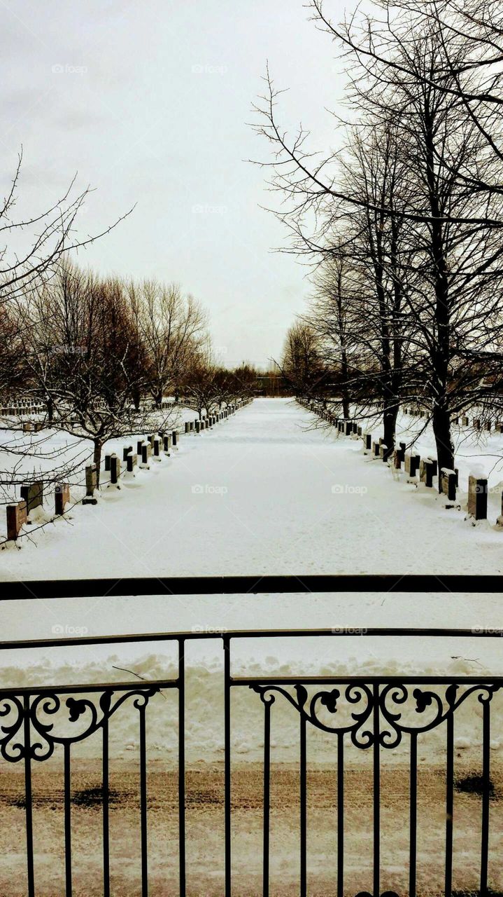 Alley in a cemetery during winter time with tombstones, a wrought iron grid and snow