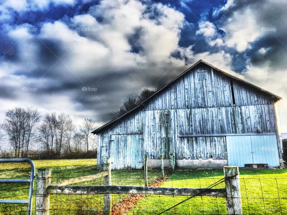 Spring at the old barn. 