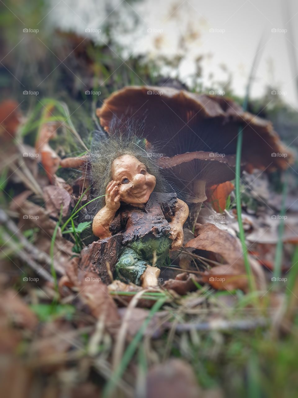 Dwarf under mushroom in nature
